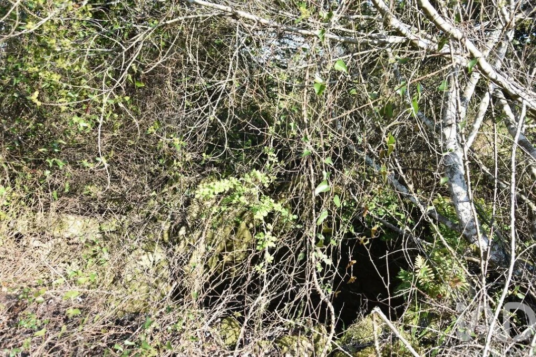 Terreno para Venda em Chãos Foto 29