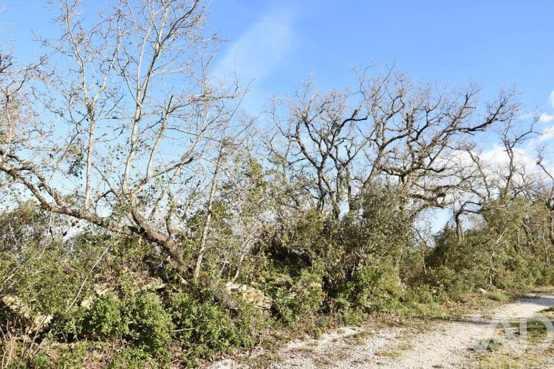 Terreno para Venda em Chãos Foto 19