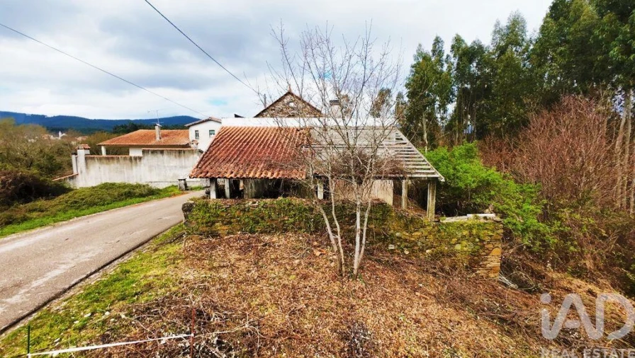 Moradia para Venda em Castanheira de Pêra e Coentral Foto 29
