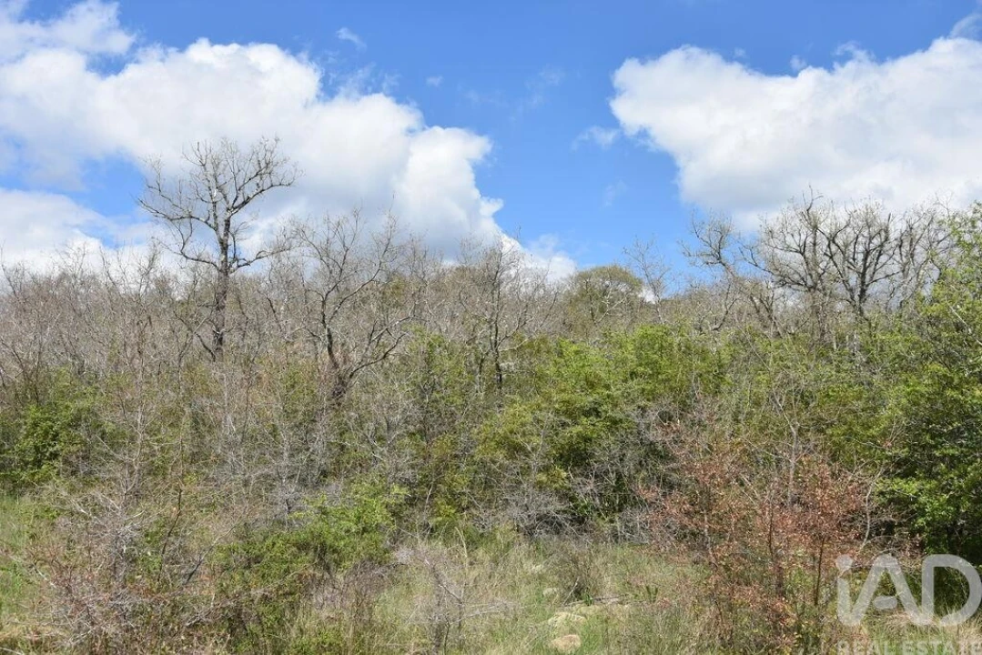 Terreno para Venda em Chãos Foto 4