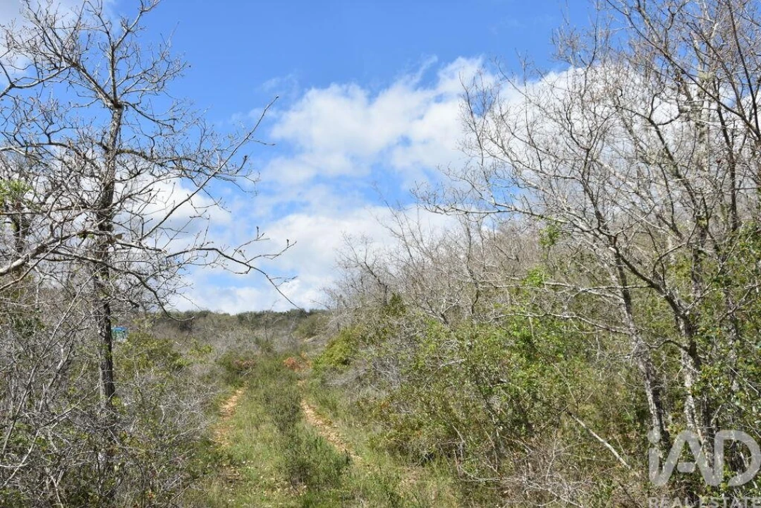 Terreno para Venda em Chãos Foto 5