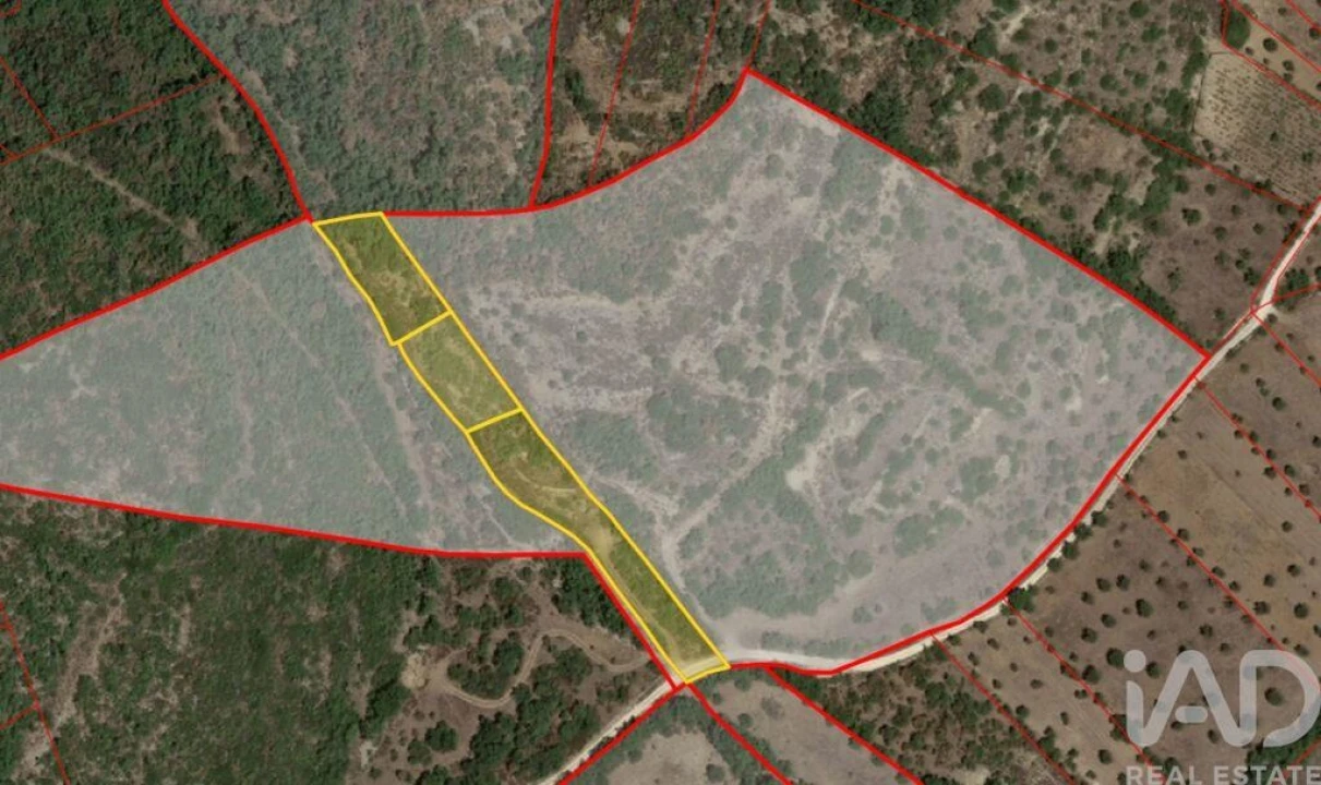 Terreno para Venda em Chãos Foto 18