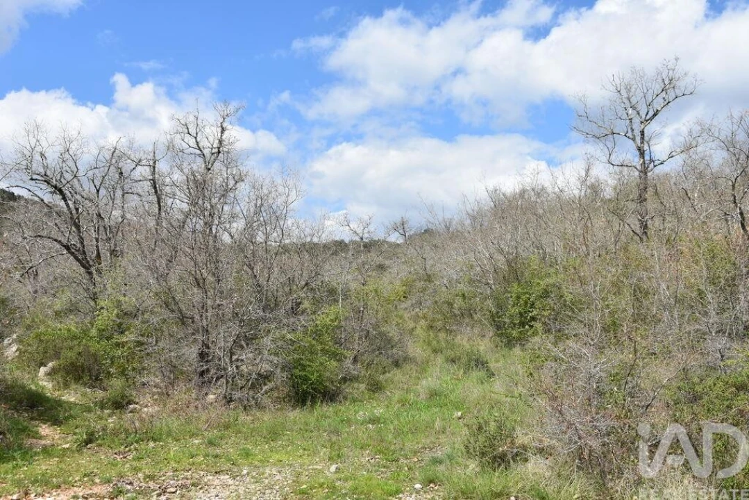 Terreno para Venda em Chãos Foto 3