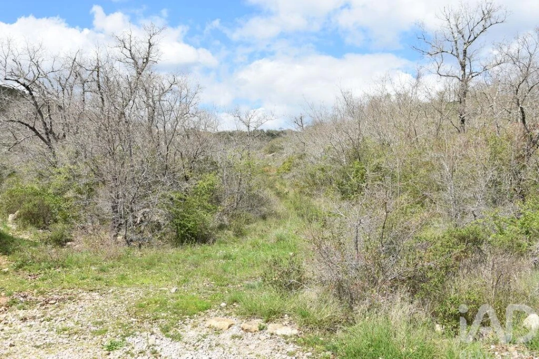 Terreno para Venda em Chãos Foto 1