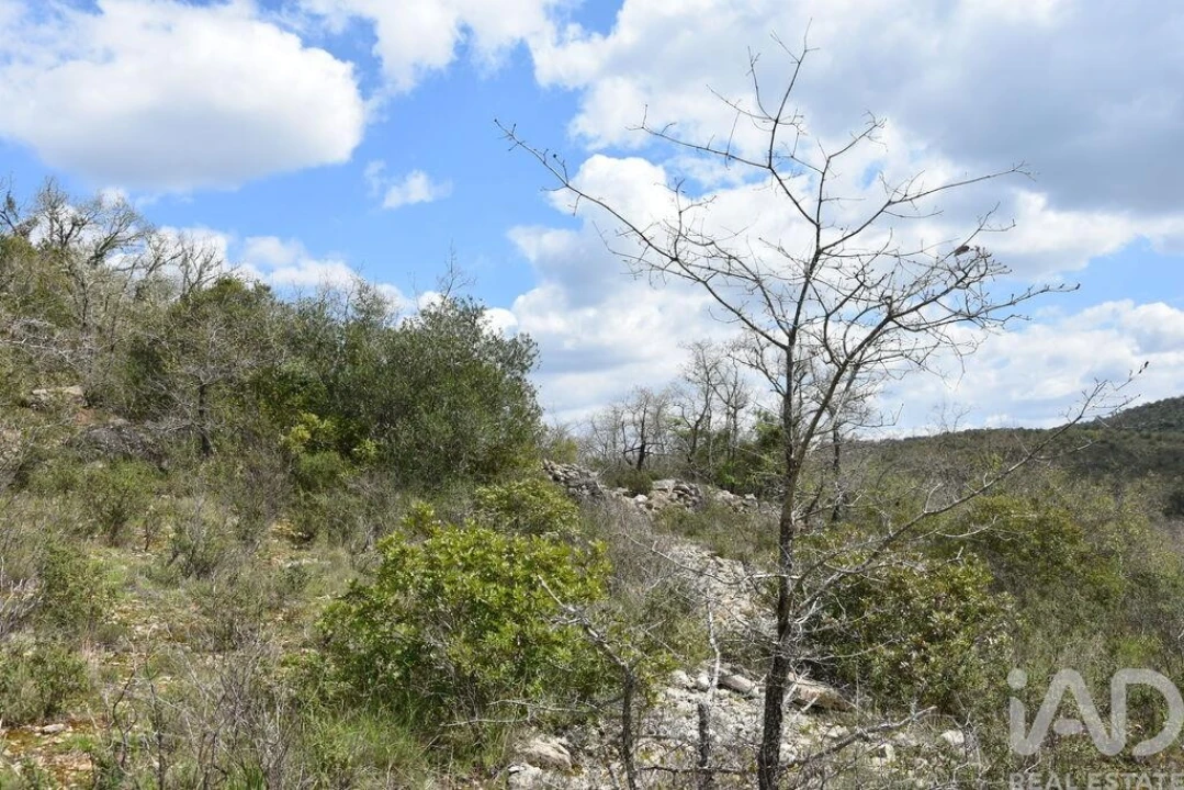 Terreno para Venda em Chãos Foto 13