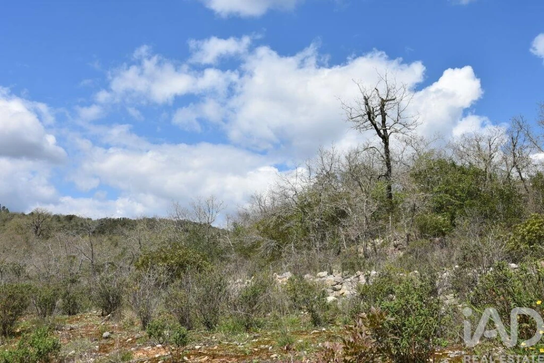 Terreno para Venda em Chãos Foto 10