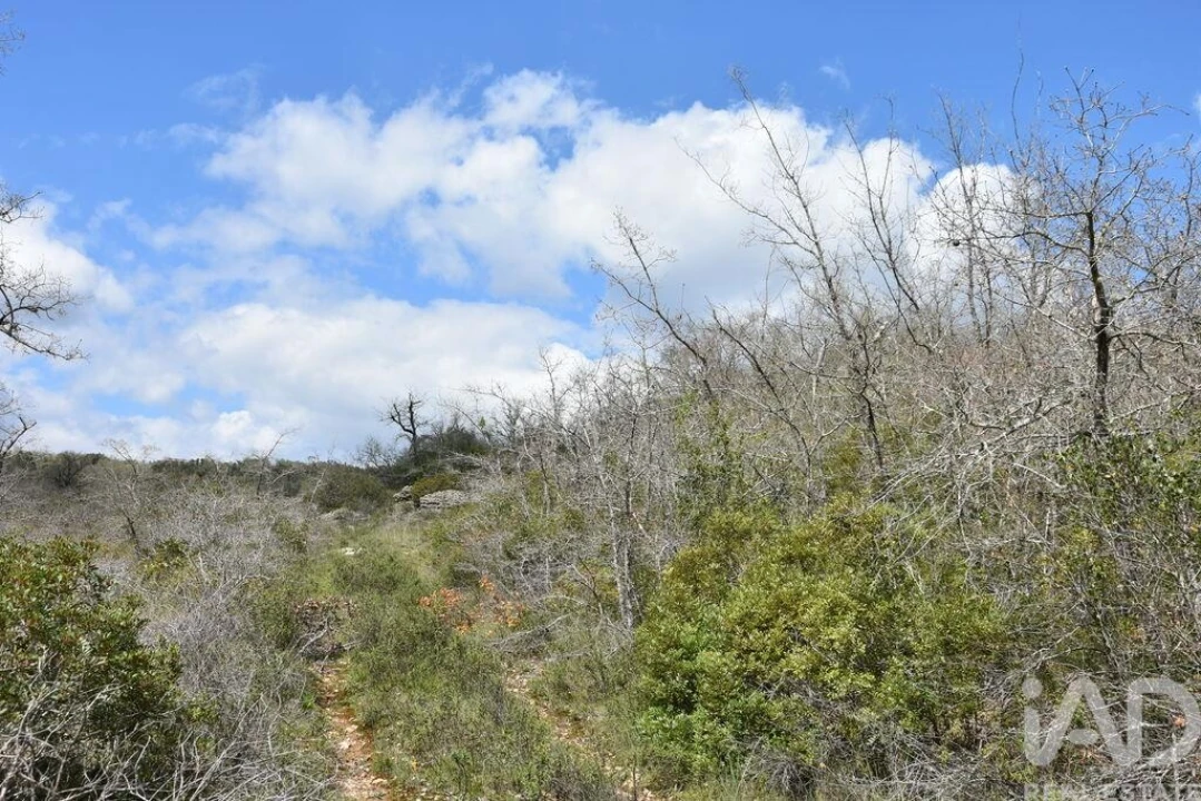 Terreno para Venda em Chãos Foto 6