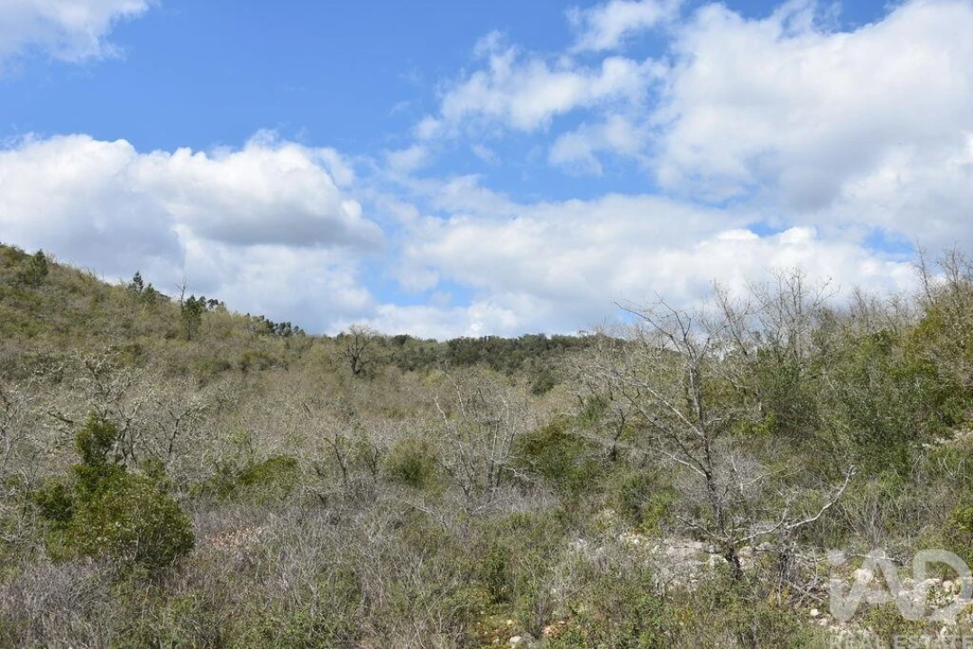 Terreno para Venda em Chãos Foto 11