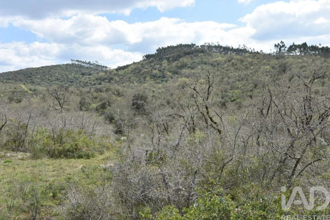 Terreno para Venda em Chãos Foto 2
