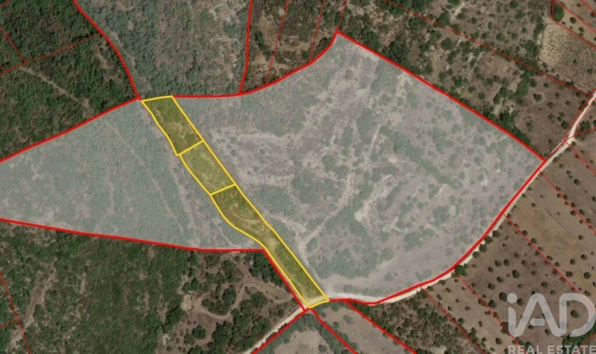 Terreno para Venda em Chãos Foto 18