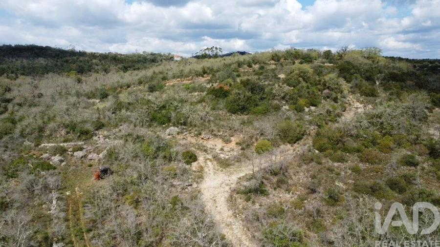 Terreno para Venda em Chãos Foto 16