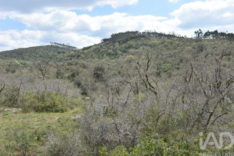 Terreno para Venda em Chãos Foto 2