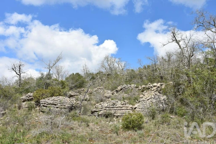 Terreno para Venda em Chãos Foto 8