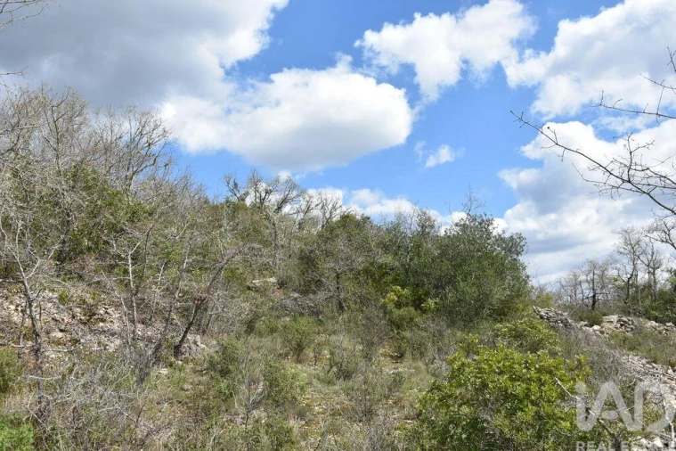 Terreno para Venda em Chãos Foto 14