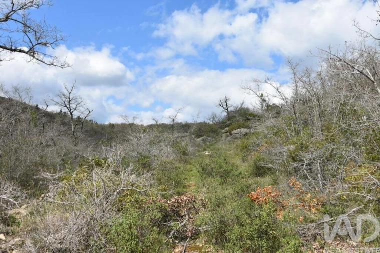 Terreno para Venda em Chãos Foto 7