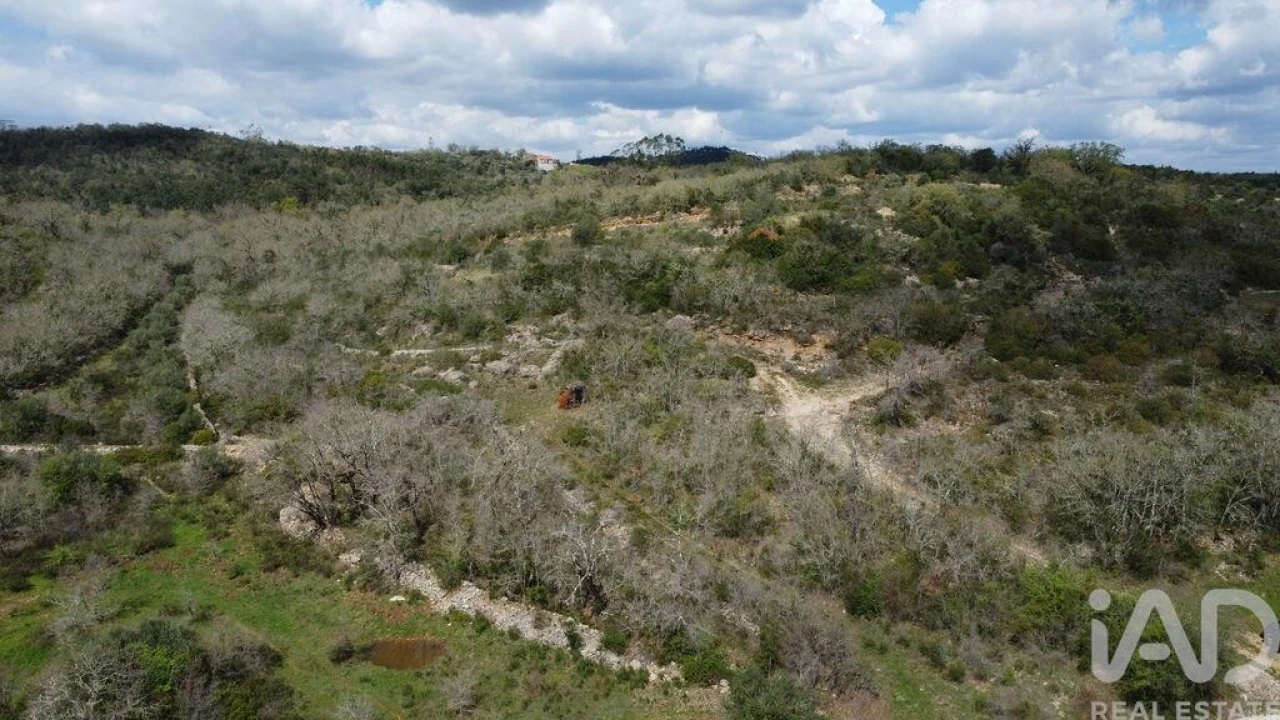 Terreno para Venda em Chãos Foto 17