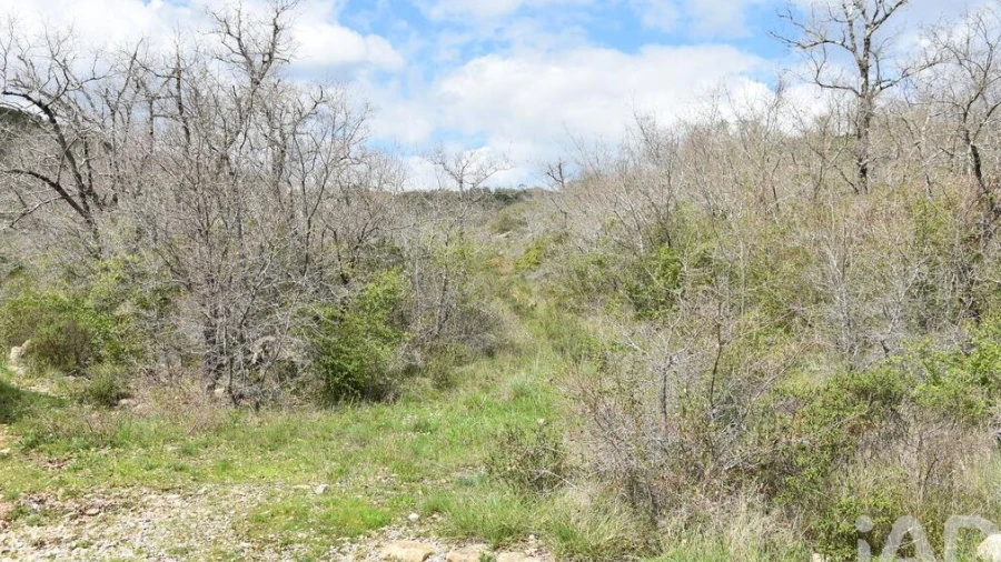 Terreno para Venda em Chãos