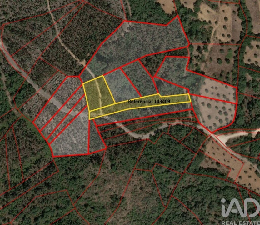 Terreno para Venda em Chãos Foto 26