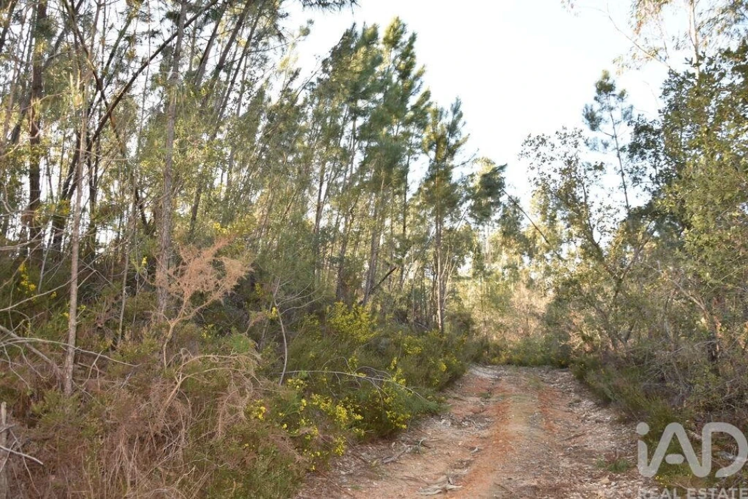 Terreno para Venda em Chãos Foto 1