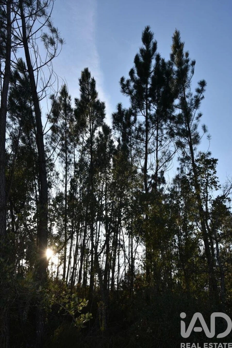 Terreno para Venda em Chãos Foto 10