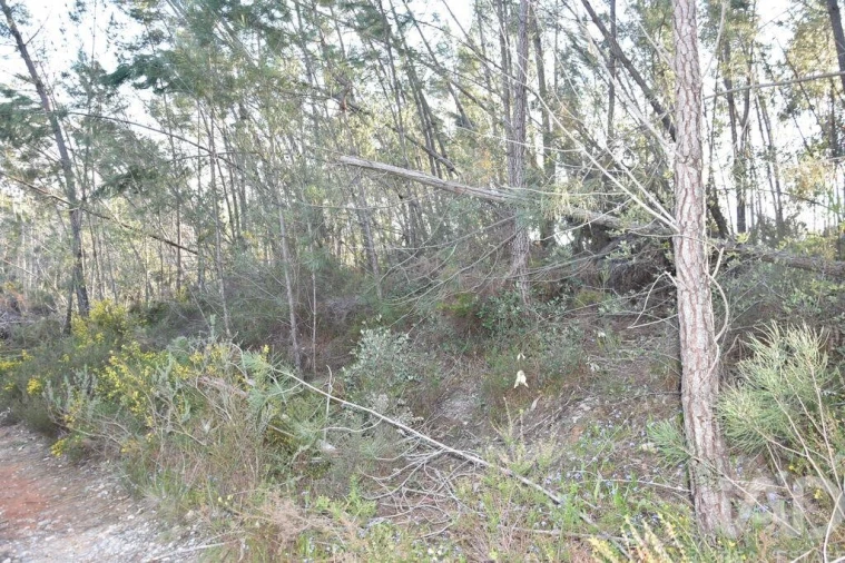 Terreno para Venda em Chãos Foto 8