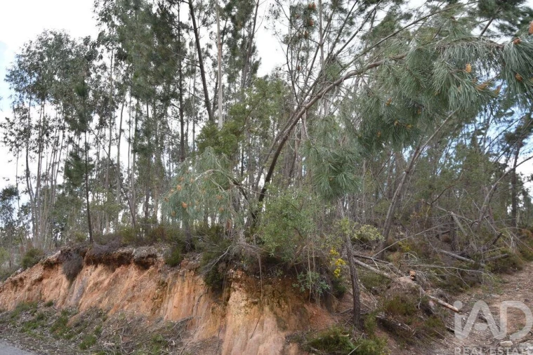 Terreno para Venda em Chãos Foto 3