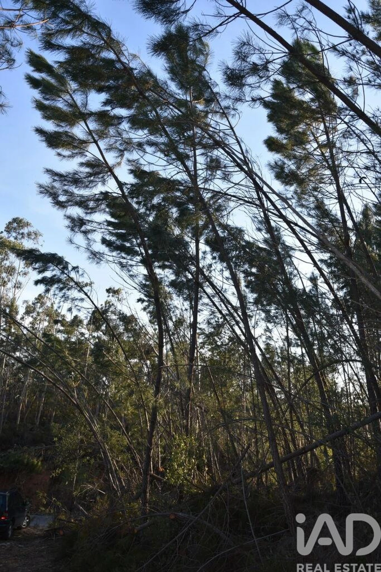 Terreno para Venda em Chãos Foto 16