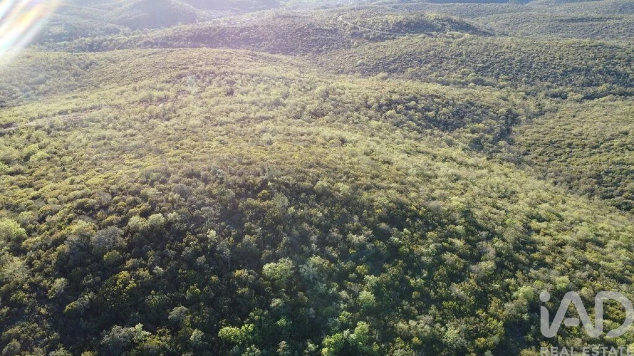 Terreno para Venda em Chãos Foto 6
