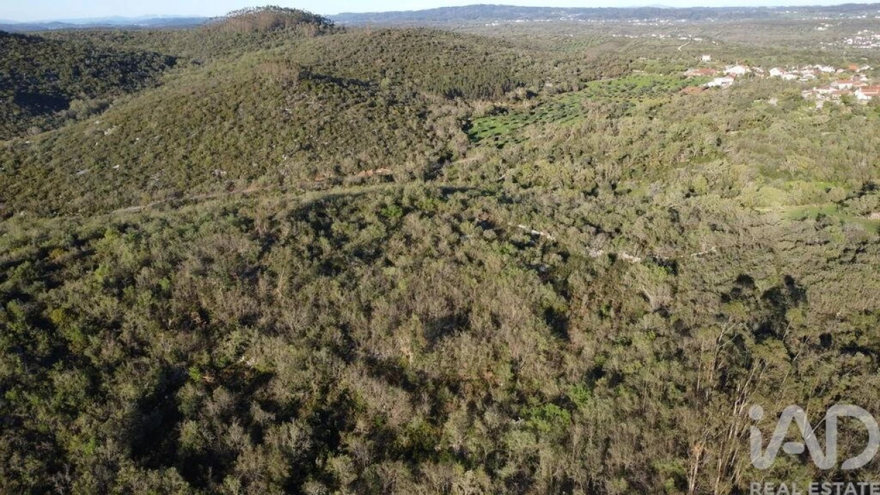 Terreno para Venda em Chãos Foto 1