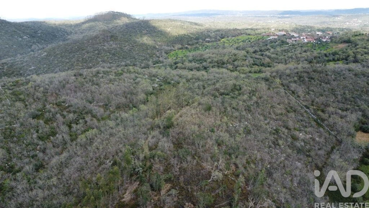 Terreno para Venda em Chãos Foto 7