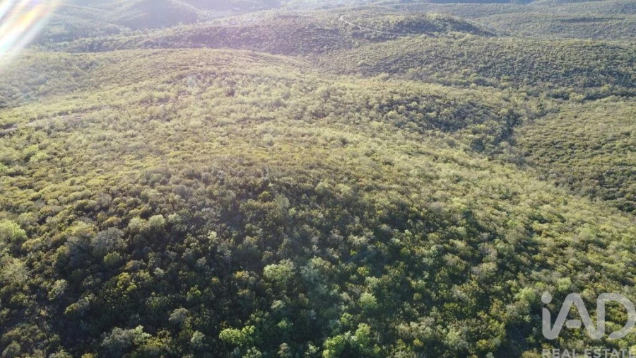 Terreno para Venda em Chãos Foto 6
