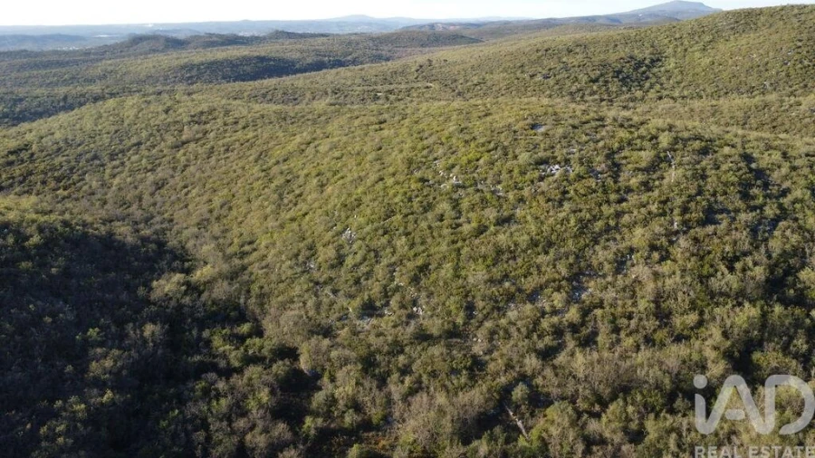 Terreno para Venda em Chãos Foto 4
