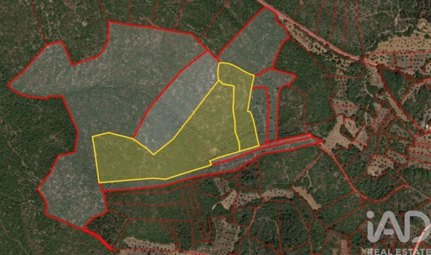 Terreno para Venda em Chãos Foto 18