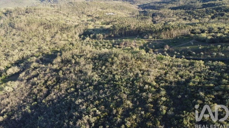 Terreno para Venda em Chãos Foto 9