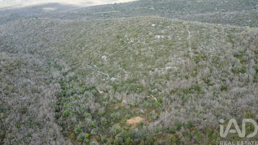 Terreno para Venda em Chãos Foto 12