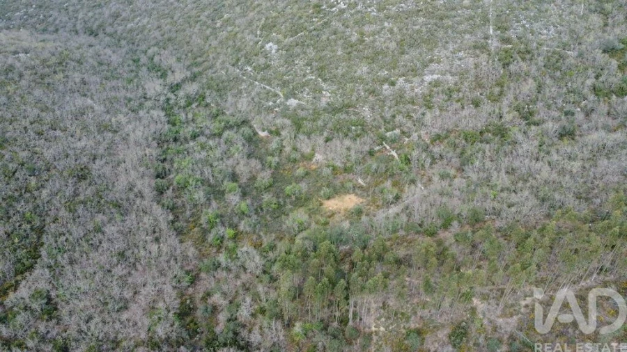 Terreno para Venda em Chãos Foto 16