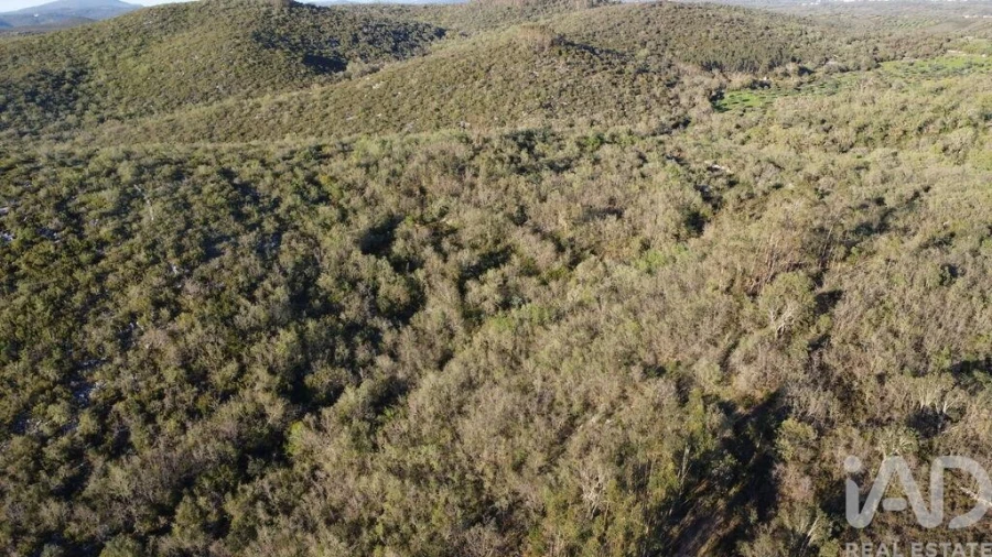 Terreno para Venda em Chãos Foto 5