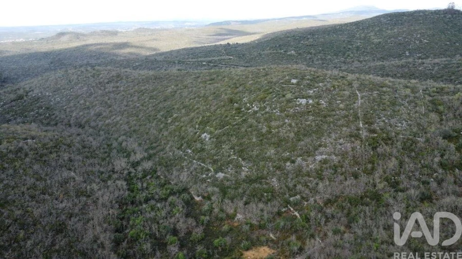 Terreno para Venda em Chãos Foto 11
