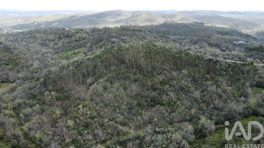 Terreno para Venda em Chãos Foto 15
