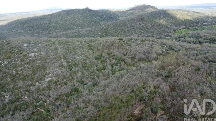 Terreno para Venda em Chãos Foto 13