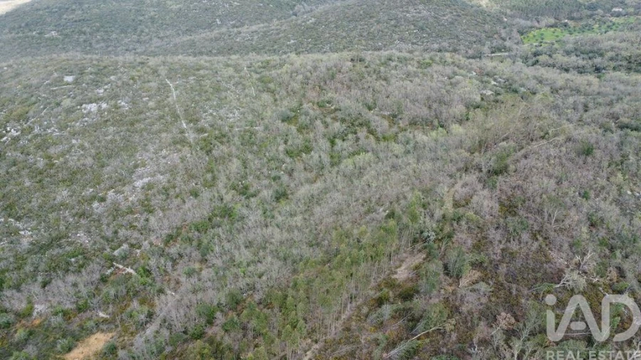 Terreno para Venda em Chãos Foto 17
