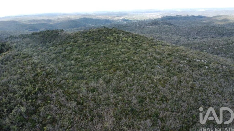 Terreno para Venda em Chãos Foto 10