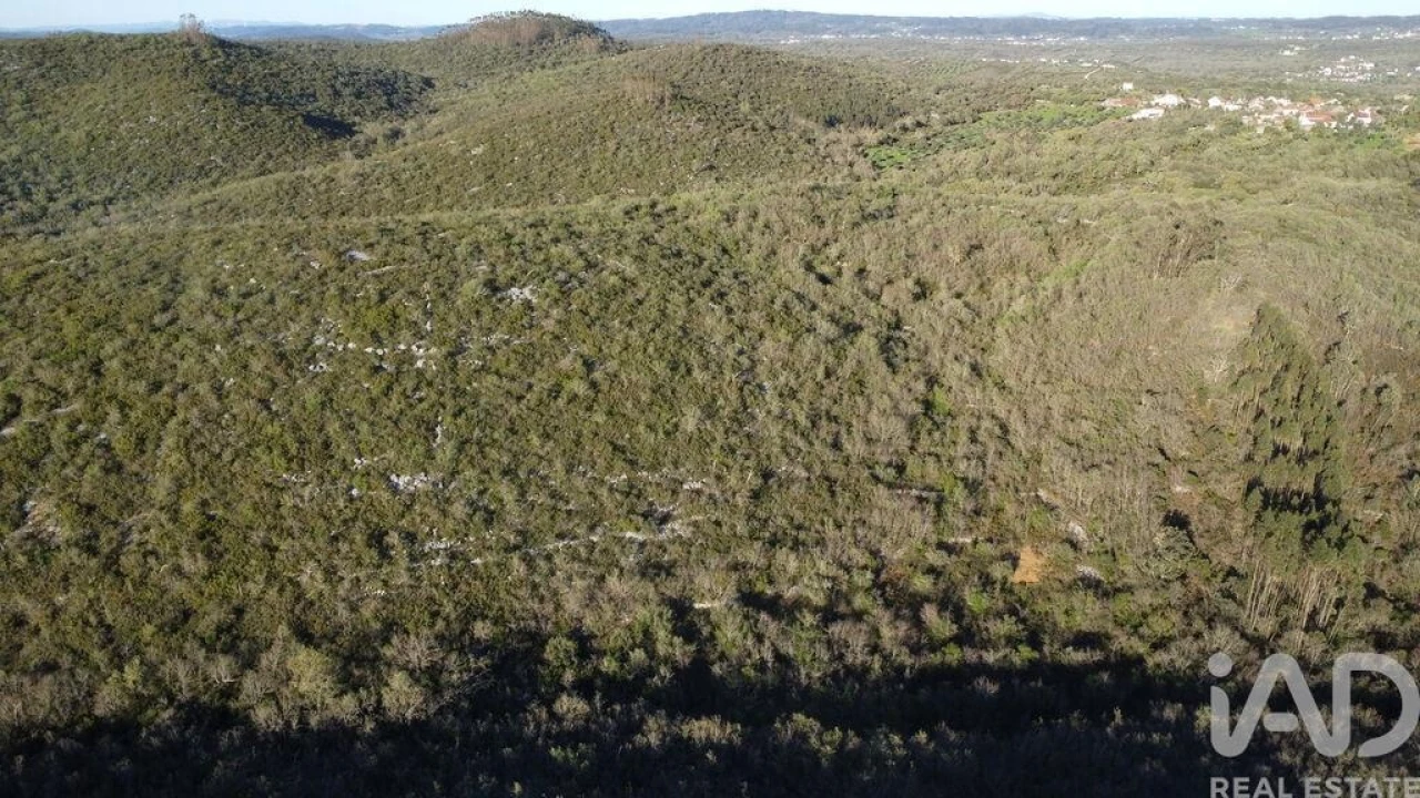 Terreno para Venda em Chãos Foto 3