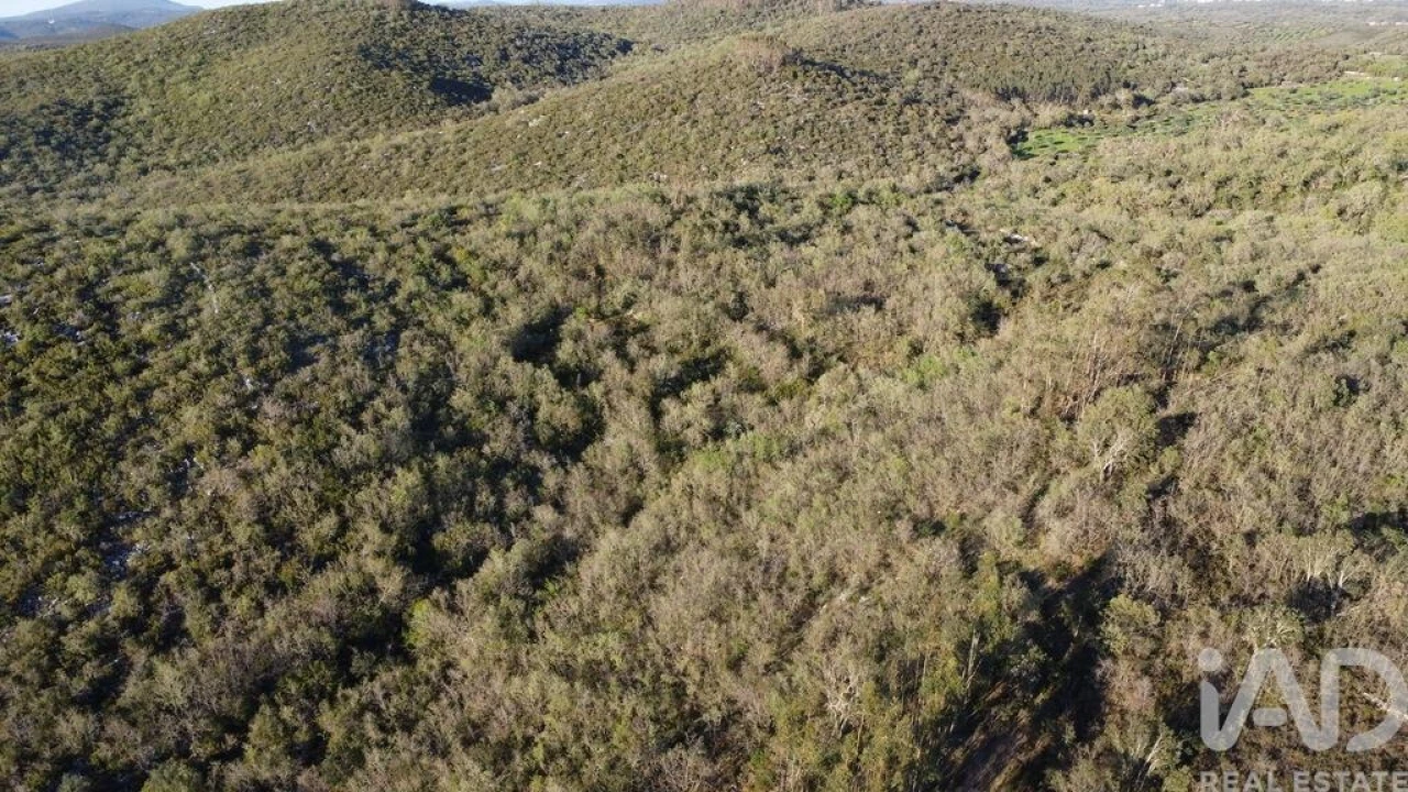 Terreno para Venda em Chãos Foto 5