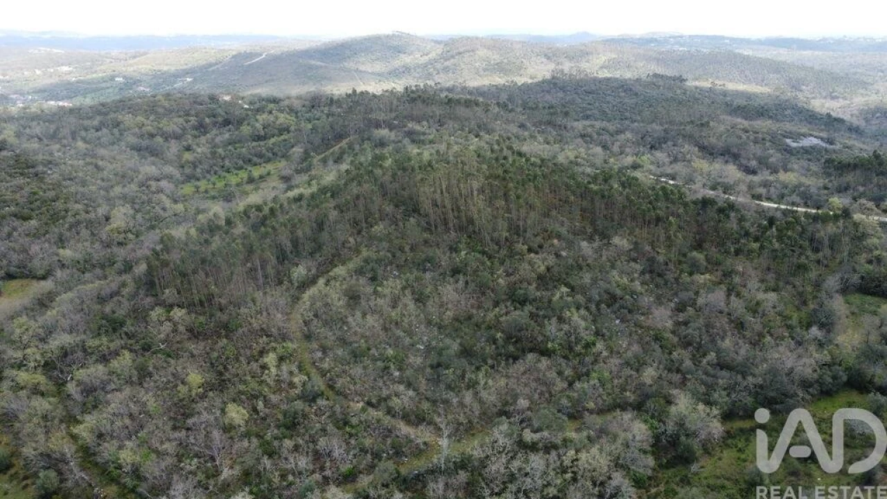 Terreno para Venda em Chãos Foto 15
