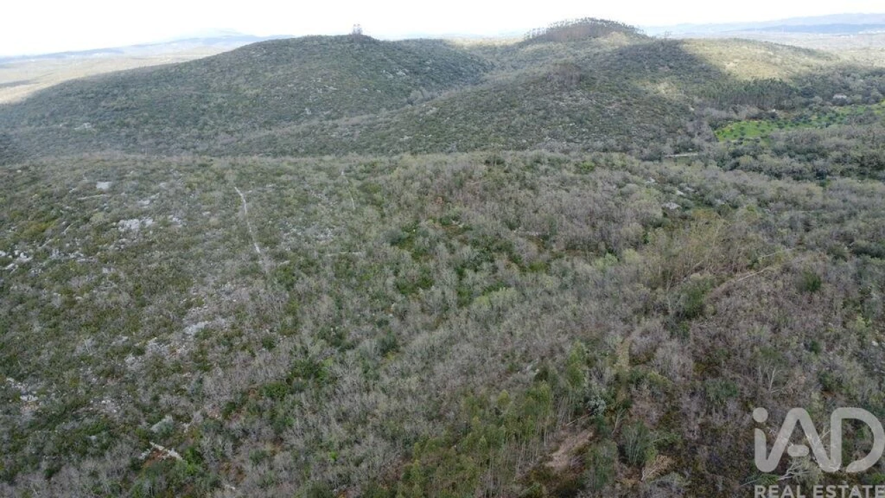 Terreno para Venda em Chãos Foto 13