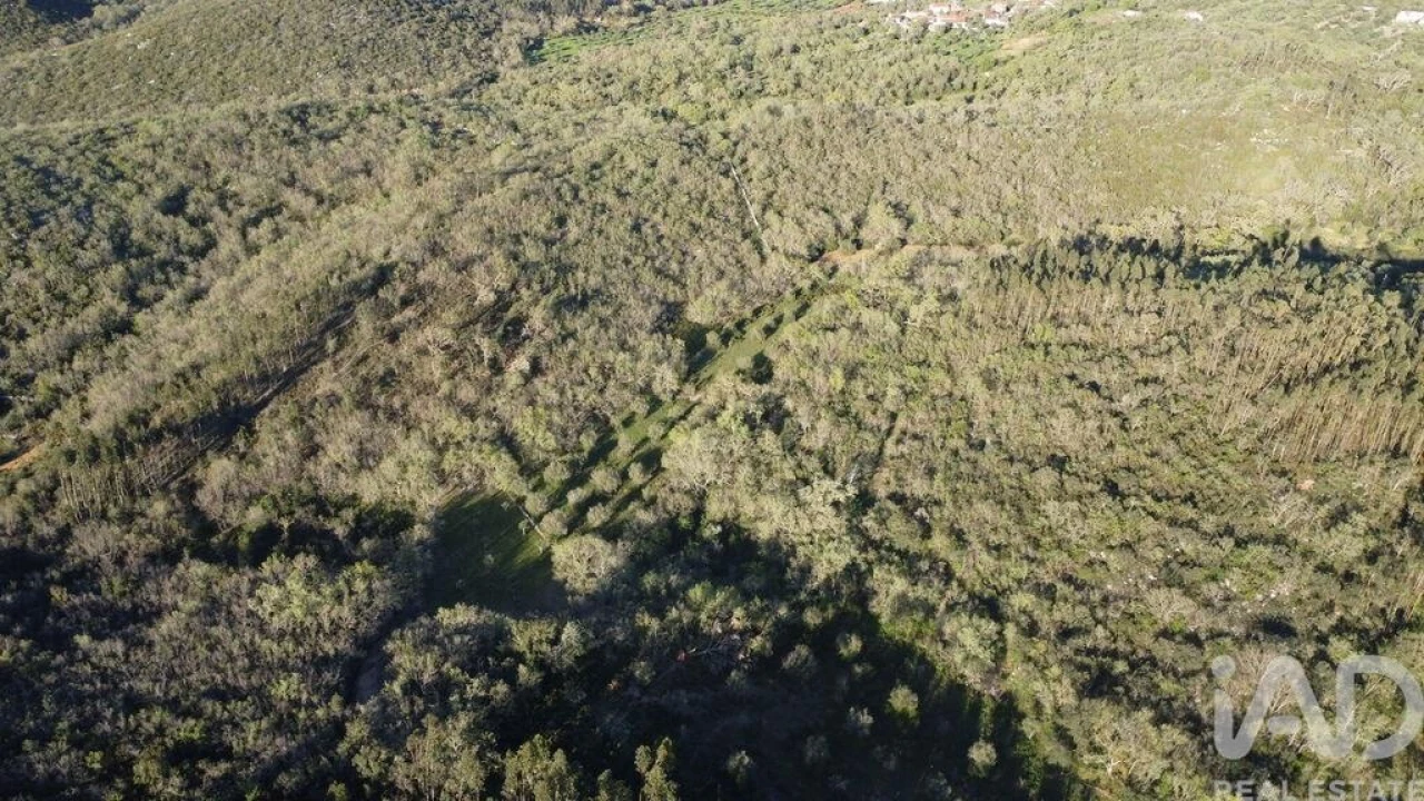 Terreno para Venda em Chãos Foto 8