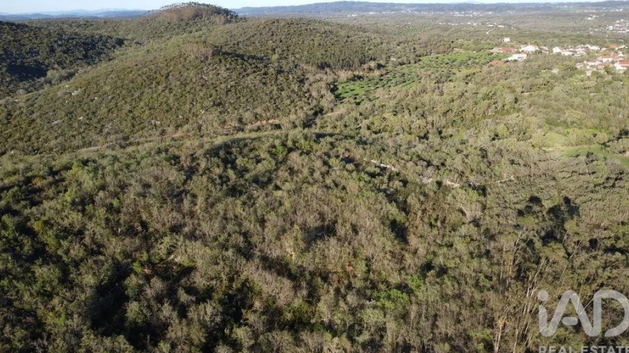 Terreno para Venda em Chãos