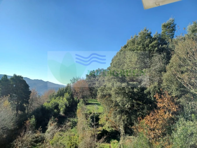 Moradia T3 para Venda em Couto de Esteves Foto 25