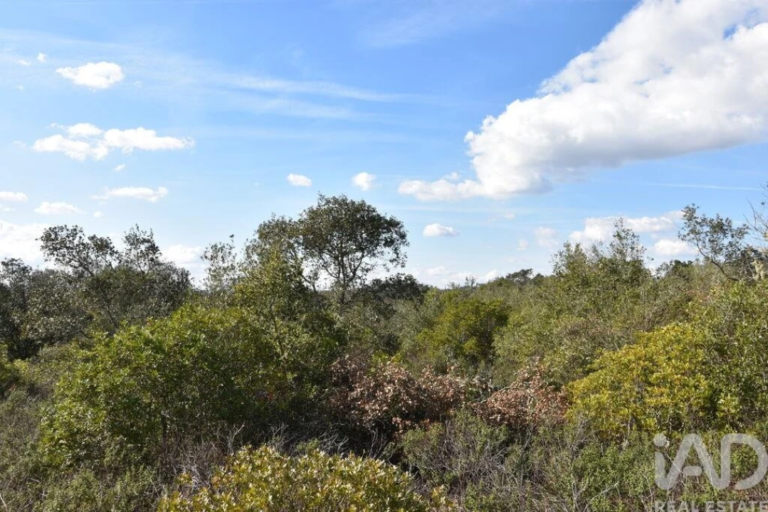 Terreno para Venda em Chãos Foto 17